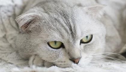 开云-科曼：梅西散步？劝你们别“看图说话”，别找事