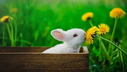 开云-科曼:梅西散步?劝你们别“看图说话”,别找事